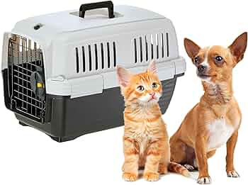Ferplast Carrier Clipper 1 – Compact, Durable & Travel-Ready Pet Carrier