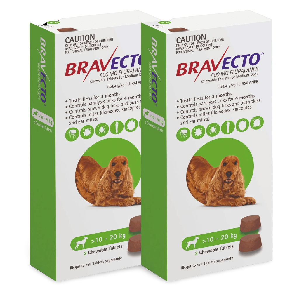 Bravecto Dog Tablet – Medium Dogs (10–20 kg)