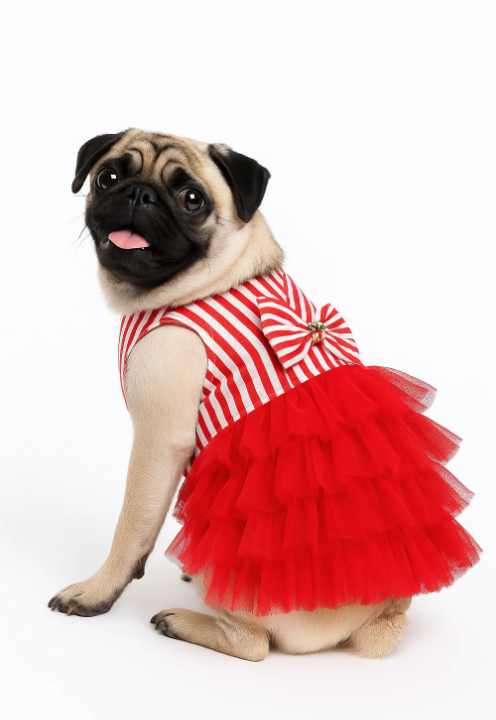 Chik Dog Skirt Red #Gyp-7B026A (Size M)
